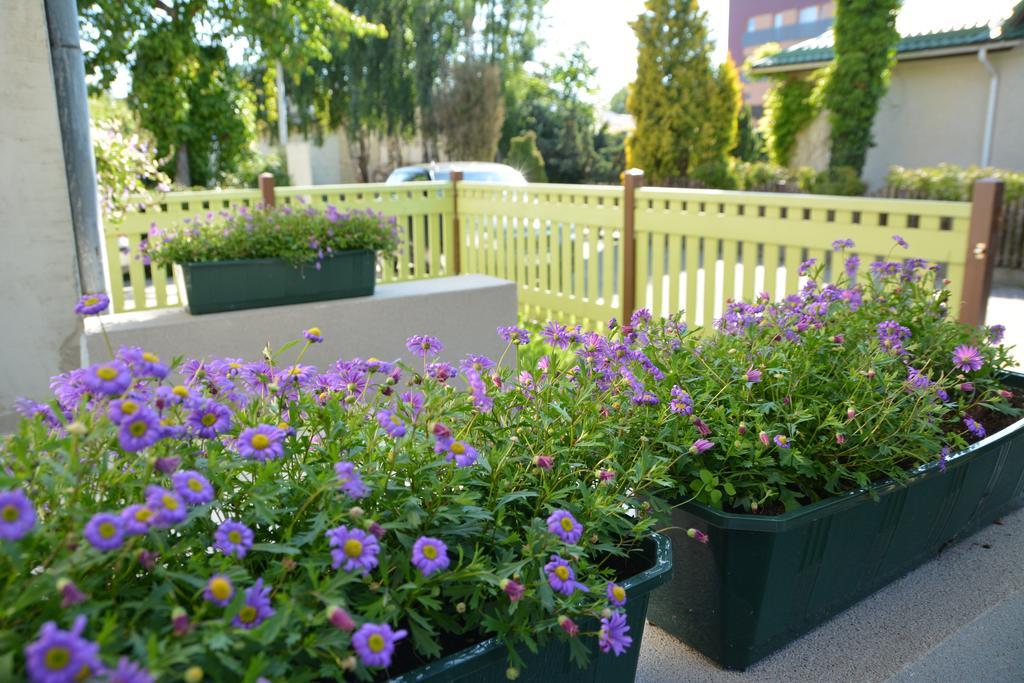 Mare Apartments Palanga Oda fotoğraf